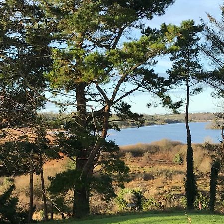 Mick'S Cottage Loughrea Buitenkant foto
