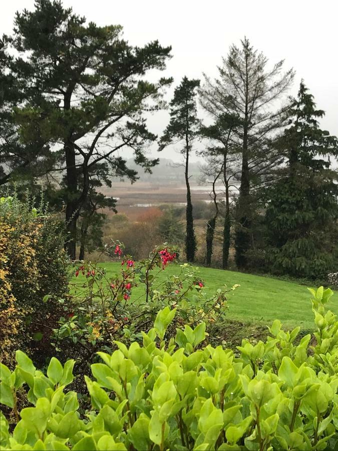 Mick'S Cottage Loughrea Buitenkant foto